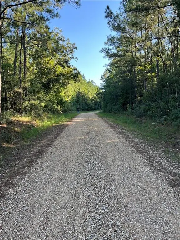 Aunt Margie's Rd Road, Greensburg, LA 70441