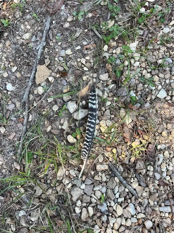 Aunt Margie's Rd Road, Greensburg, LA 70441 - Image #2