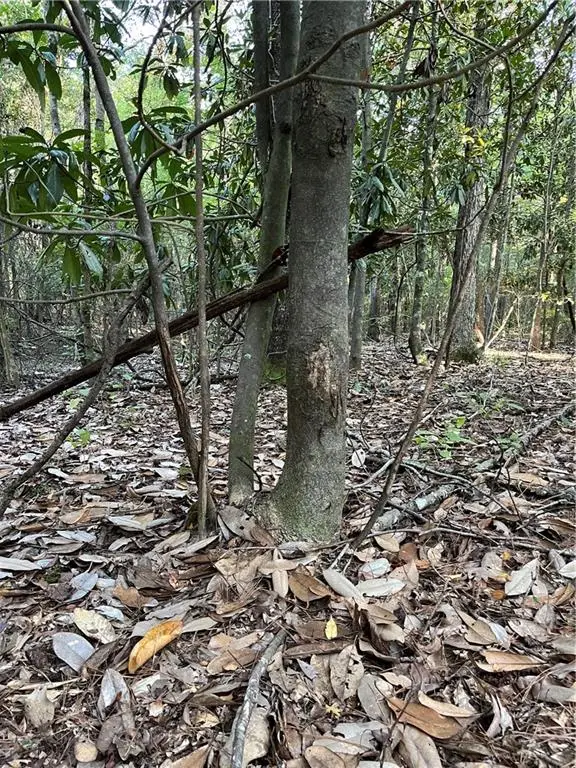 Aunt Margie's Rd Road, Greensburg, LA 70441 - Image #3