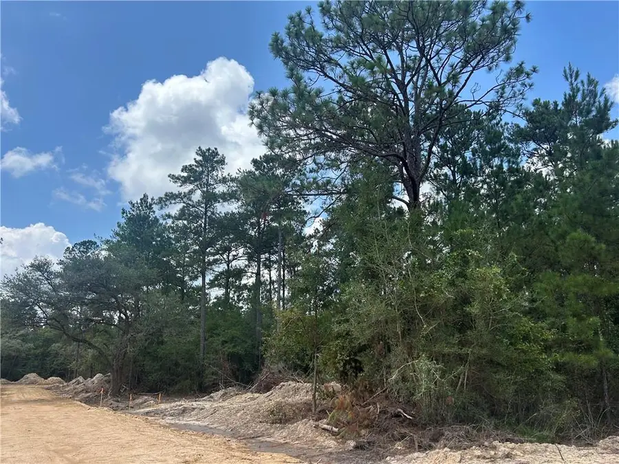 Pellegrin Drive, Covington, LA 70435 - Image #3