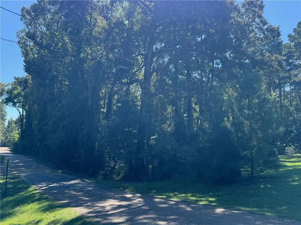 00 Austin Road, Jena, LA 71342 - #1