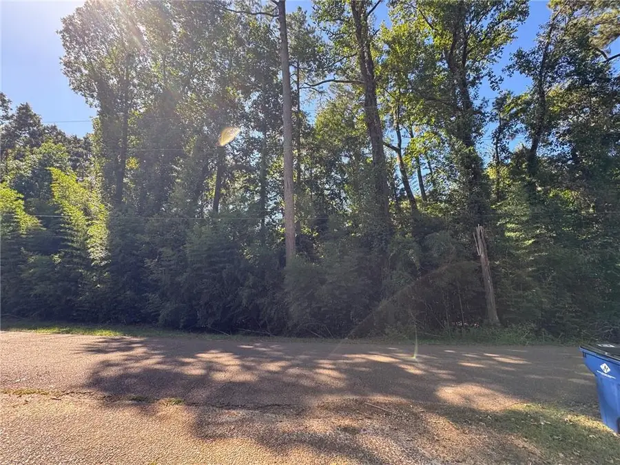 00 Austin Road, Jena, LA 71342 - #3