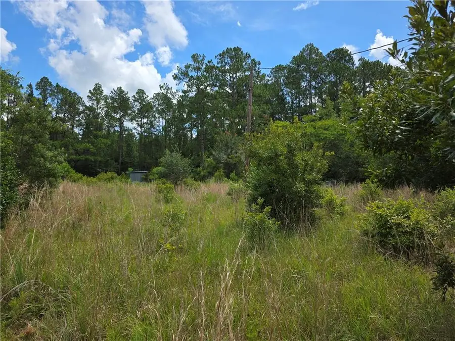 26053 Little Fawn Street, Lacombe, LA 70445 - Image #3