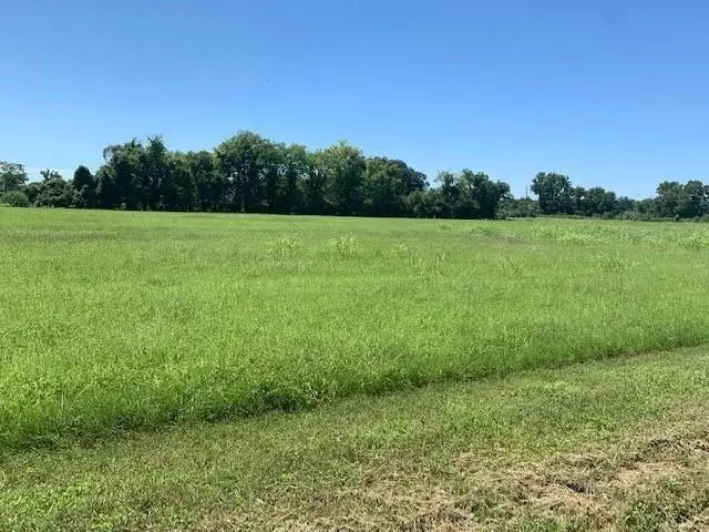 314 Farm Lane, Alexandria, LA 71303 - Image #2