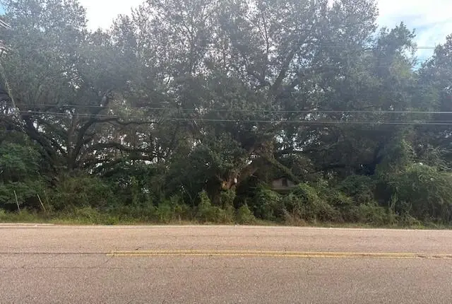 PARCEL A Hwy 435 Highway, Abita Springs, LA 70420 - Image #3