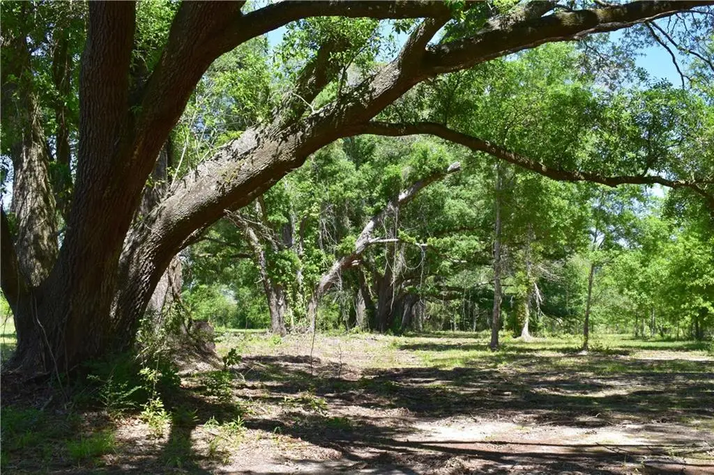 00 Ebb Guillot Road, Pearl River, LA 70452 - #1