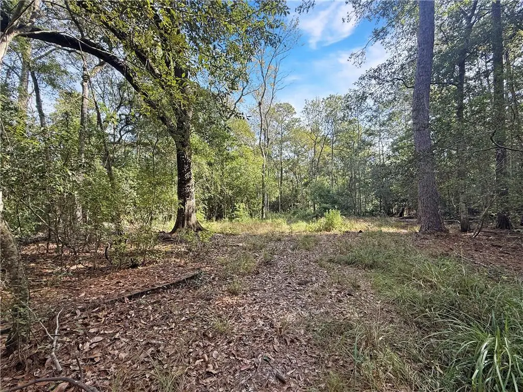 Lot 2 S Strain Road, Mandeville, LA 70471 - Image #1