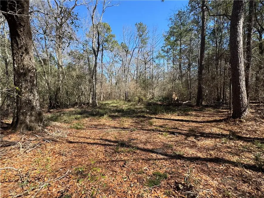 Lot 2 S Strain Road, Mandeville, LA 70471 - Image #3