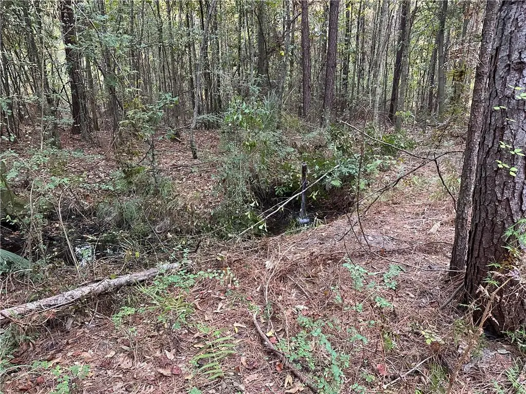 Cow Lane, Ponchatoula, LA 70454 - Image #1