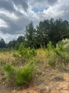 0 Ocho Rios Drive, Pineville, LA 71360 - Image #3