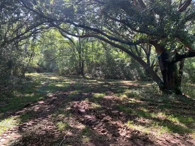 27816 Highway 435 Highway, Abita Springs, LA 70420 - Image #2