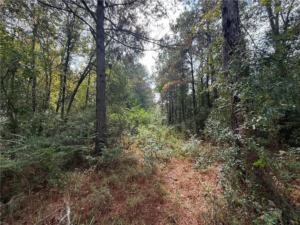 10 Acres Domiano Lane, Hammond, LA 70401 - Image #1