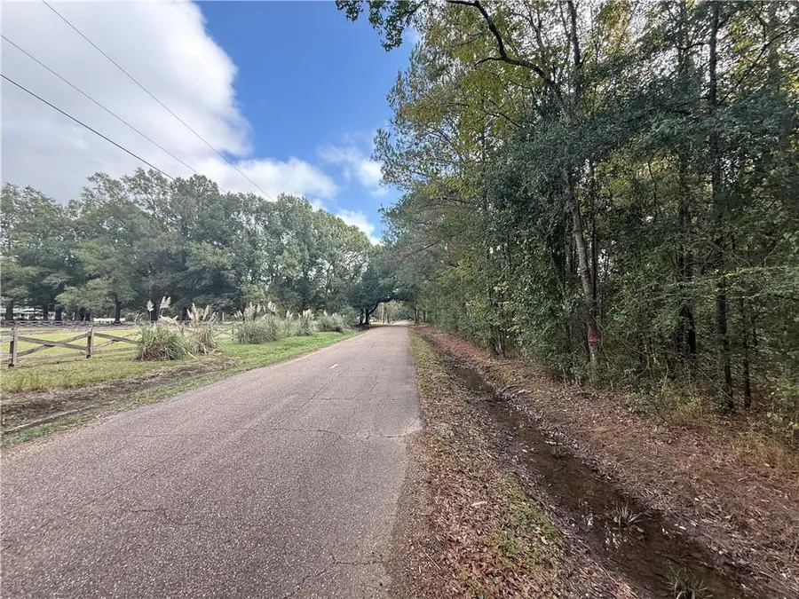 10 Acres Domiano Lane, Hammond, LA 70401 - Image #2