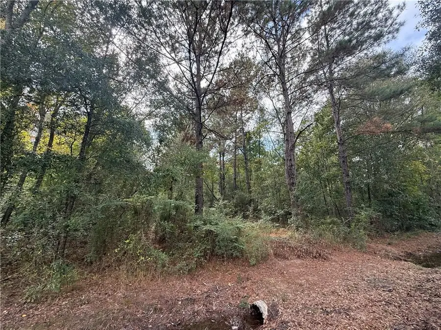 10 Acres Domiano Lane, Hammond, LA 70401 - Image #3