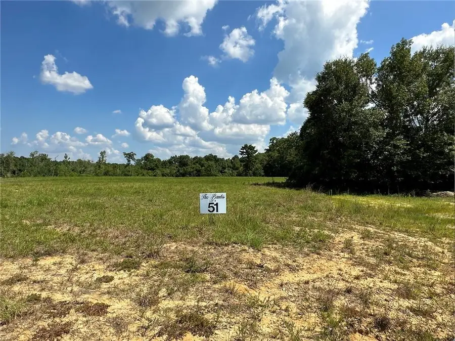 Lot 51 Banks Drive - Hwy 16 Highway, Franklinton, LA 70438 - Image #3