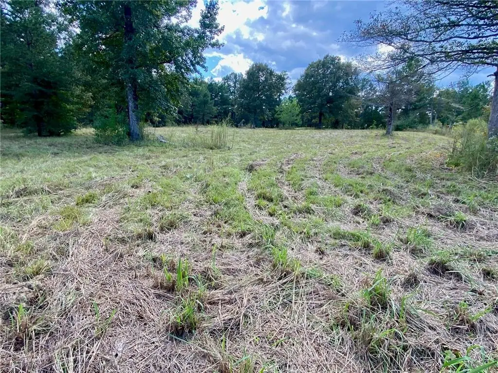 9131 Highway 1 Highway, Lena, LA 71447 - #1