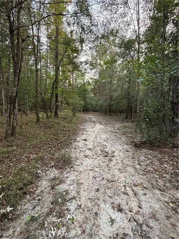 350 Walker Gravel Pit Road, Dry Prong, LA 71423 - Image #3