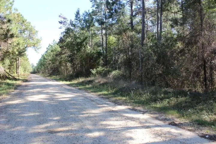 Old Gainsville - Pearlington Road, Pearlington, MS 39572 - Image #2