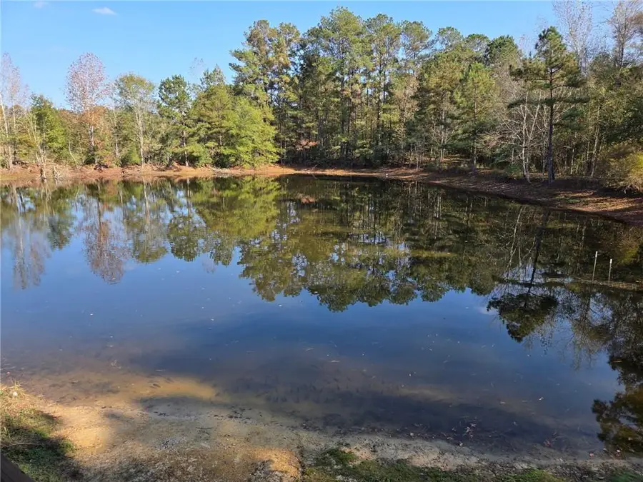 918 Spring Hill Road, Poplarville, MS 39470 - #2