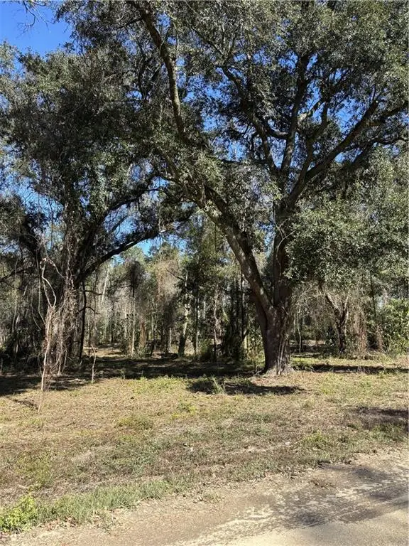 TBD Buck Anthony Road, Folsom, LA 70437 - Image #3