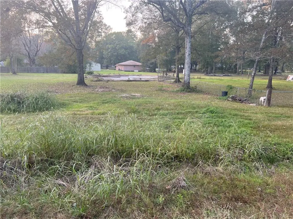 25361 Juban Road, Denham Springs, LA 70726 - #1