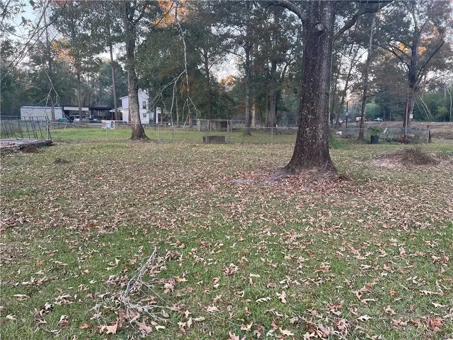 25361 Juban Road, Denham Springs, LA 70726 - #3