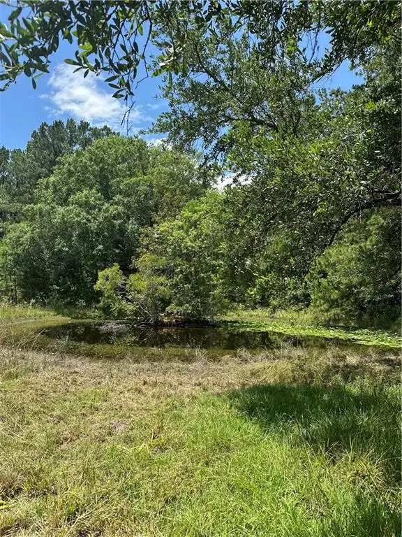 37076 W Powerline Road, Pearl River, LA 70452 - Image #2