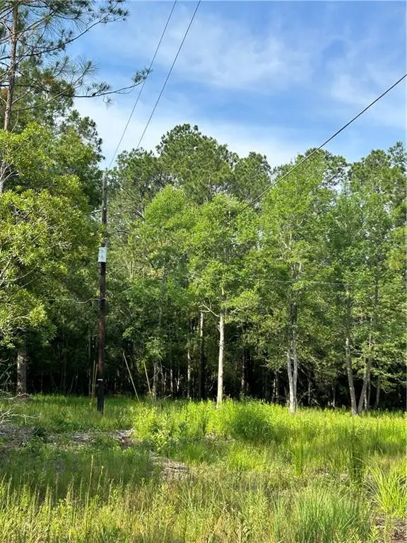 59453 Calamari Lane, Lacombe, LA 70445 - Image #3