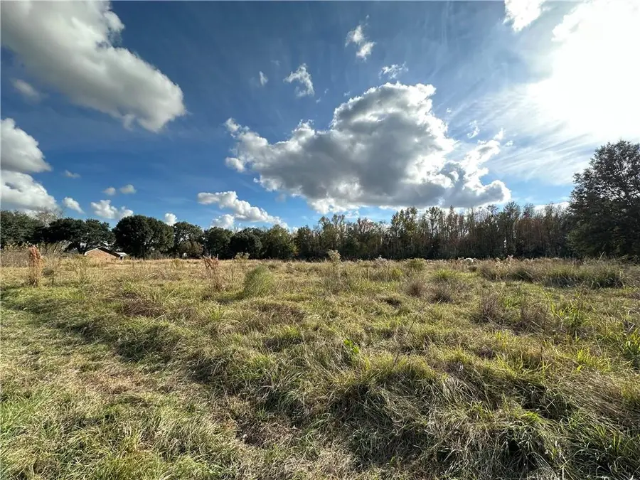 516 Theophile Road, Ville Platte, LA 70586 - Image #3