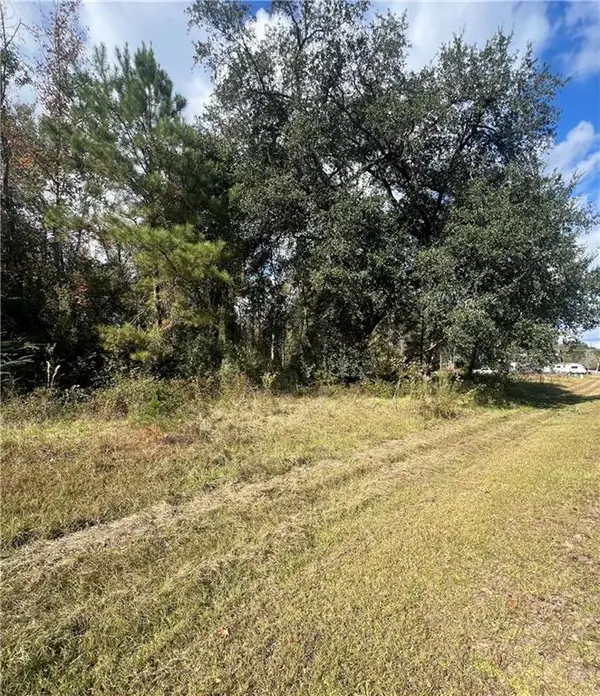 Lot 265 Arbor Drive, Robert, LA 70455