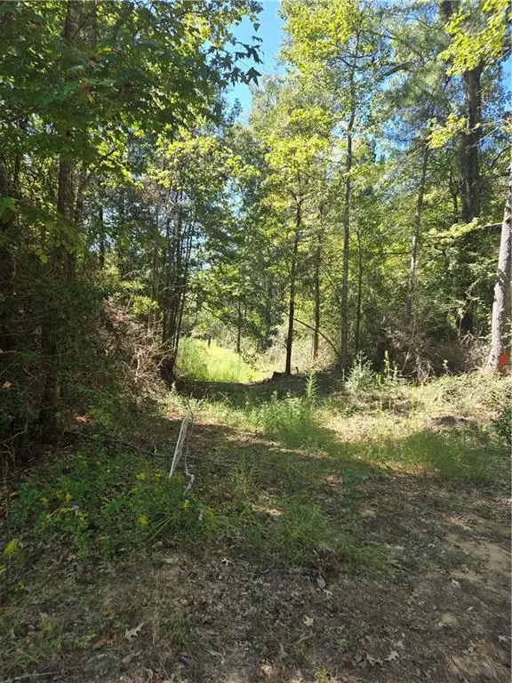 Riser Road, Sikes, LA 71473 - Image #3