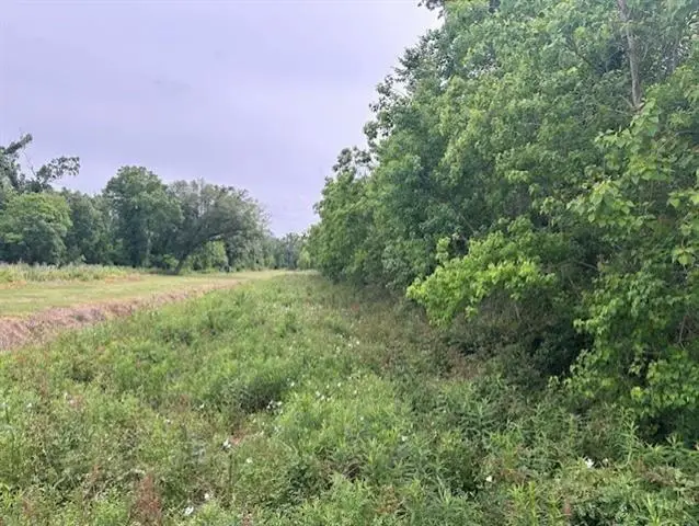 3201 Kelly Road, Saint Bernard, LA 70085 - Image #2