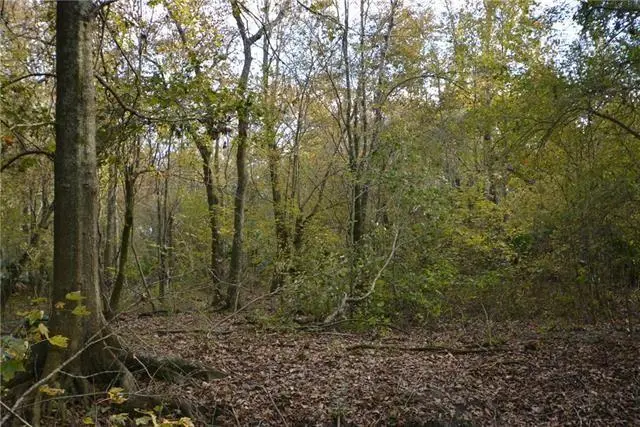 Poydras Plant Lot 11, Saint Bernard, LA 70085 - Image #2