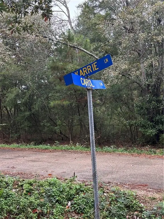 0 Carol Lane, Covington, LA 70435 - Image #3