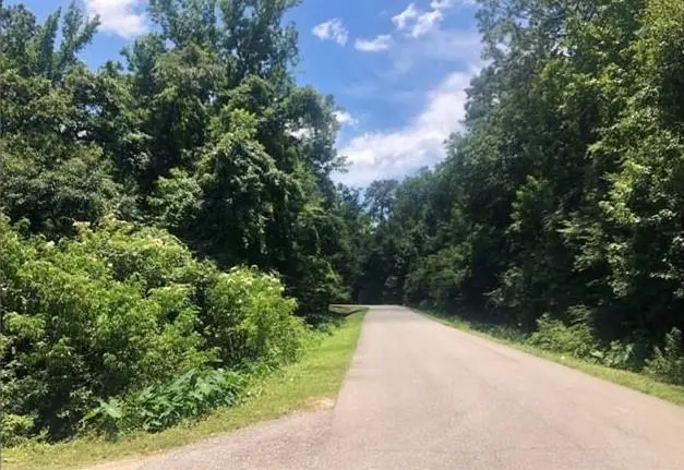 Lot 8 Penns Chapel Road, Mandeville, LA 70471 - Image #3