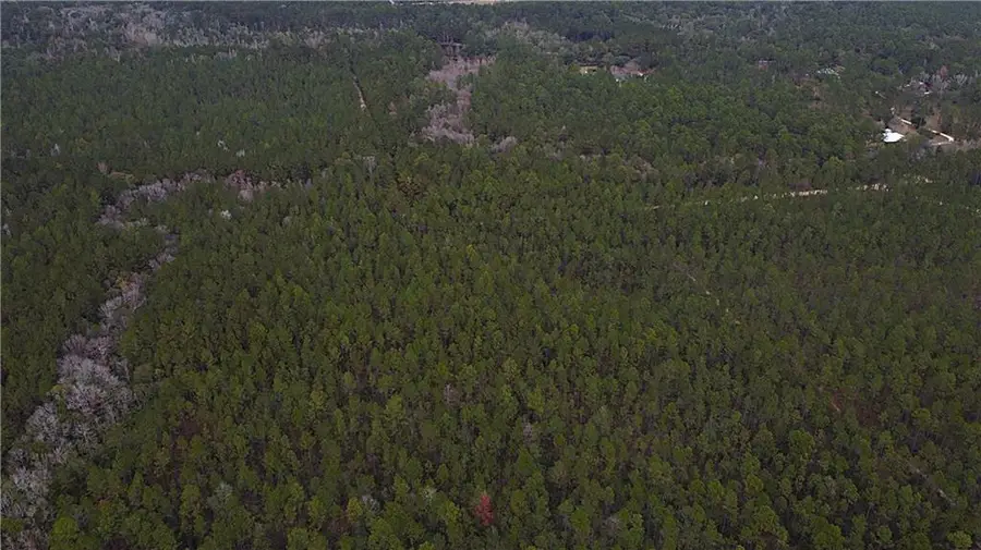 24414 Polaris Street, Abita Springs, LA 70420 - #2