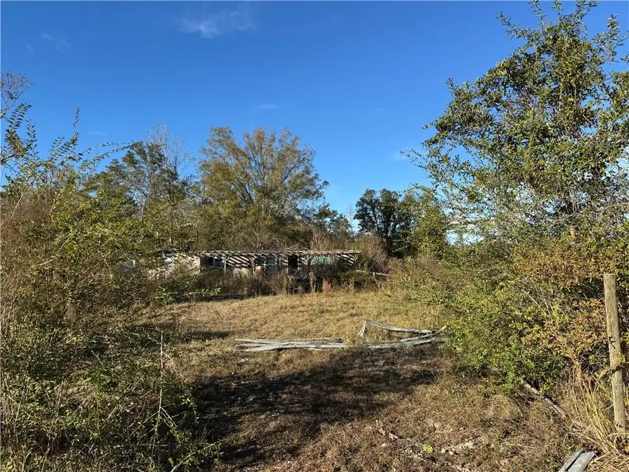 TBD 1-F Barnum Road, Springfield, LA 70462 - Image #2