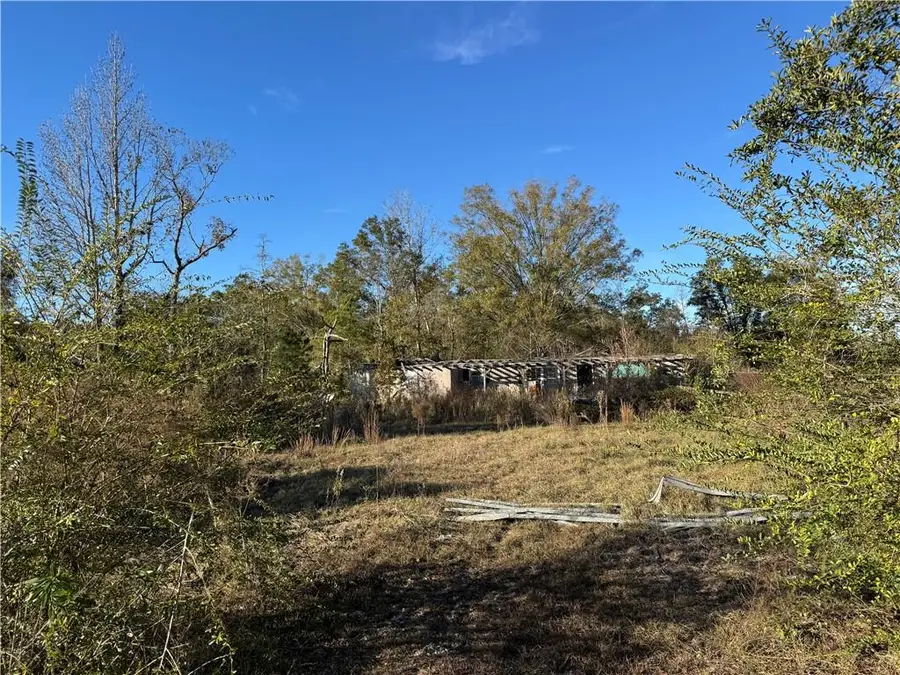 TBD 1-F Barnum Road, Springfield, LA 70462 - Image #3