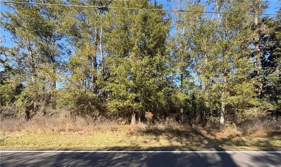 Old River Road, Slidell, LA 70461 - #2