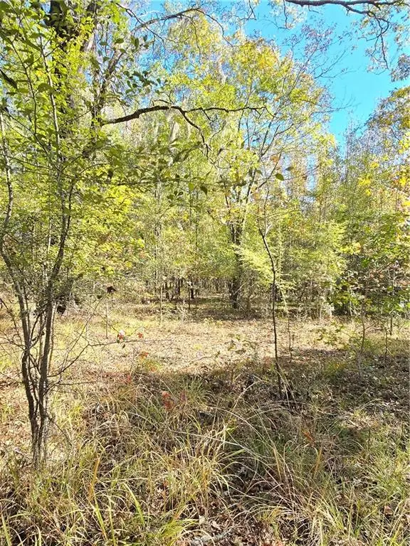 Section 13 T10n R03w, Winnfield, LA 71483 - Image #3