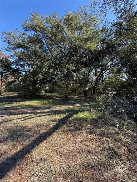 42202 S Range Road, Ponchatoula, LA 70454 - Image #1