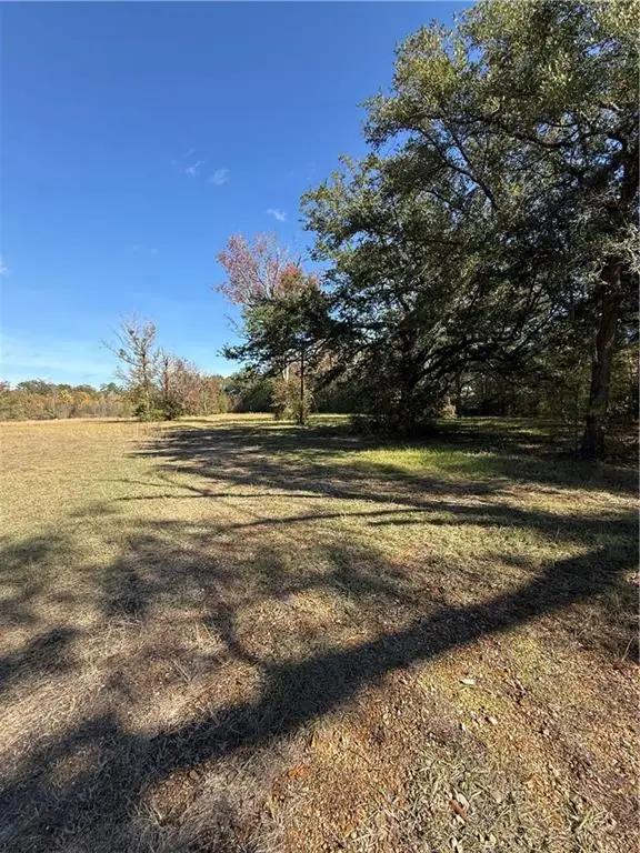 42202 S Range Road, Ponchatoula, LA 70454 - Image #2