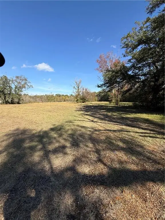 42202 S Range Road, Ponchatoula, LA 70454 - Image #3