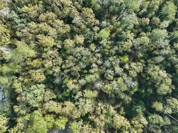 Parcel 3 Wilson Road, Covington, LA 70435