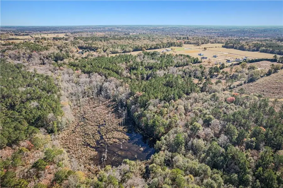 Prosperity Road, Franklinton, LA 70438 - Image #2