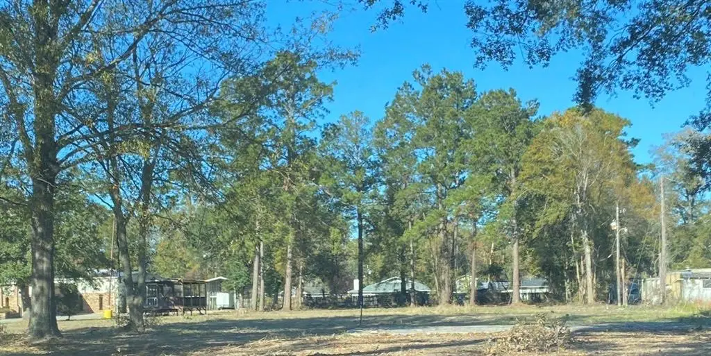 788 E Pine Street, Ponchatoula, LA 70454 - #1