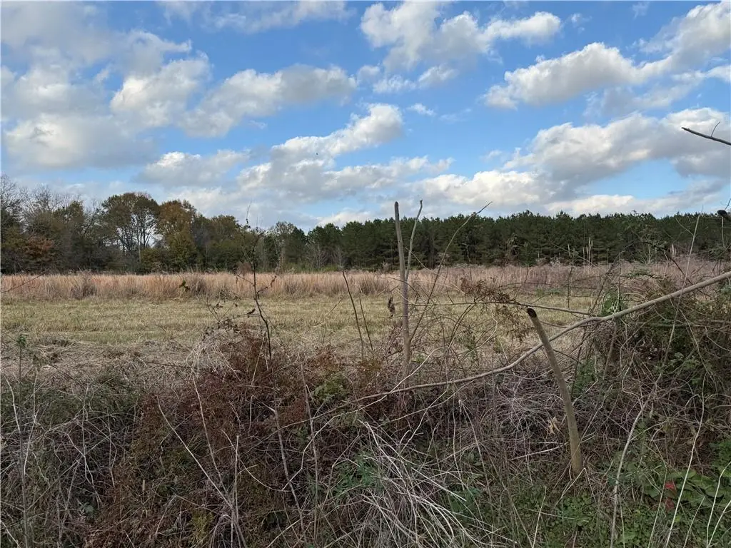 0 Dewey Bernard Road, Mansura, LA 71350 - #1