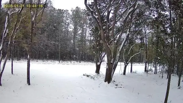 79789 N Willie Road, Folsom, LA 70437