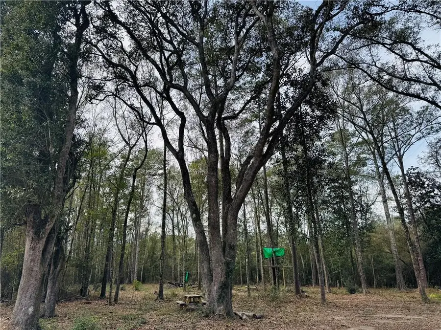 79789 N Willie Road, Folsom, LA 70437 - #2