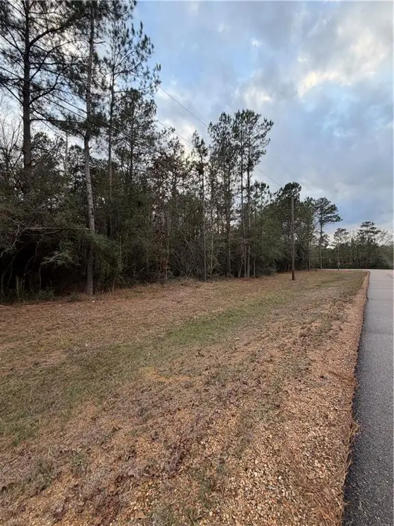 TBD 6.982 AC Providence Estates Road, Amite, LA 70422 - Image #1